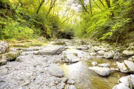 Mountain small river Agura in an of the same name canyonの写真素材