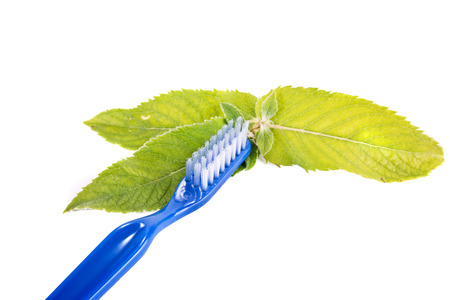 Blue toothbrush on fresh green leaves of mint