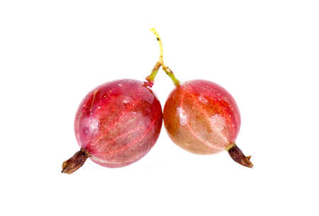 Ripe berry of gooseberry it is isolated on a white backgroundの写真素材