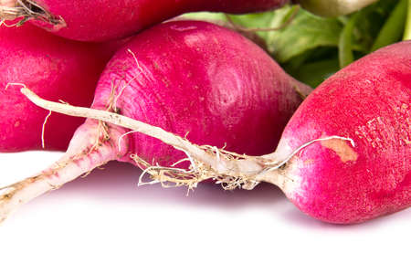 Root radishes with tops isolated on a white background