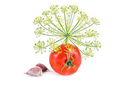 Different vegetables are isolated on a white backgroundの写真素材