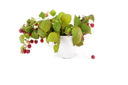 Ripe raspberry it is isolated on a white backgroundの写真素材