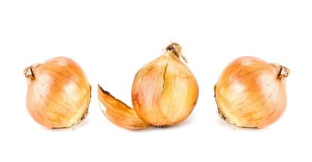 Ripe bulb are isolated on a white backgroundの写真素材