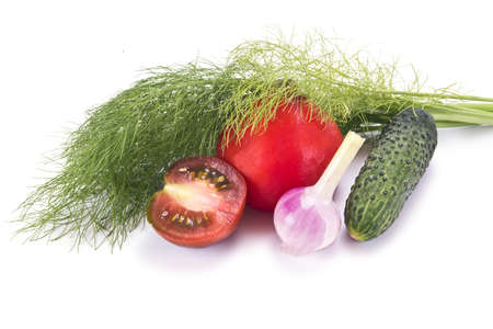 Horticultural plant onions and dill isolated on white backgroundの写真素材