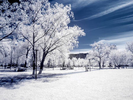 Infrared photography. Park in the city of Reutov. Moscow Oblastの写真素材