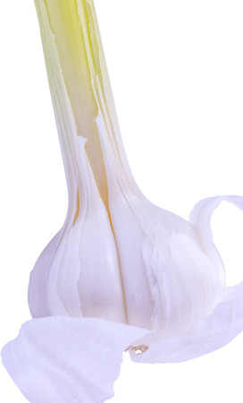 Young garlic isolated on white backgroundの写真素材
