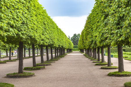 PETERHOF, RUSSIA - June 07.06: The territory of the palace and park complex. Landscape Design Upper Parkのeditorial素材