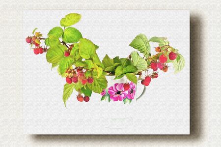 Branches of bush raspberry with ripe berries in a white cheap cup. Oil paint on canvas. Picture with...