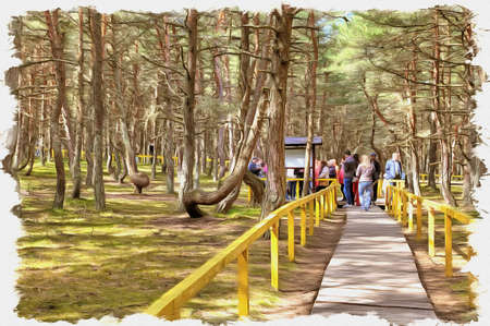 Picture from a photo. Oil paint. Imitation. Illustration. Kaliningrad region. Curonian Spit. Dune Round. Dancing forestの写真素材