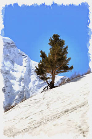 Oil paint on canvas. Picture with photo, imitation of painting. Illustration. Large Caucasian backbone. Pine-tree on the slope of mountain Chegetの写真素材