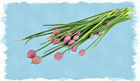 Oil paint on canvas. Picture with photo, imitation of painting. Illustration. Garden plant a Welsh onionの写真素材