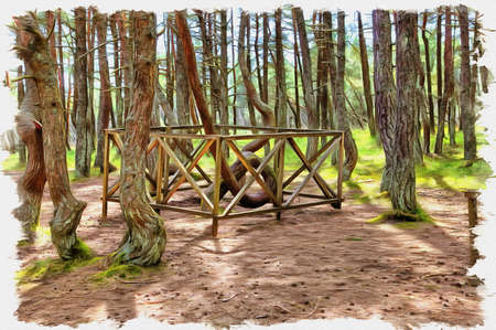 Picture from a photo. Oil paint. Imitation. Illustration. Kaliningrad region. Curonian Spit. Dune Round. Dancing forestの写真素材