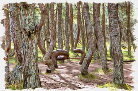 Picture from a photo. Oil paint. Imitation. Illustration. Kaliningrad region. Curonian Spit. Dune Round. Dancing forestの写真素材