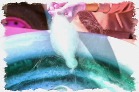 Picture from a photo. Oil paint. Imitation. Illustration. Making baby delicacies. Sweet Cotton candy wool on a stickの写真素材