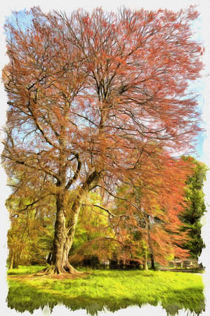 Picture from a photo. Oil paint. Imitation. Illustration. Forest beech purpornolistny in city park in early springの写真素材