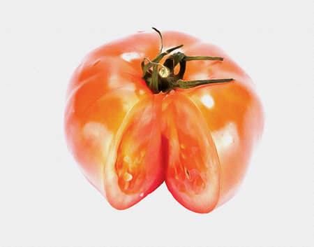 Oil paint on canvas. Picture with photo, imitation of painting. Illustration. The cut tomatoの写真素材
