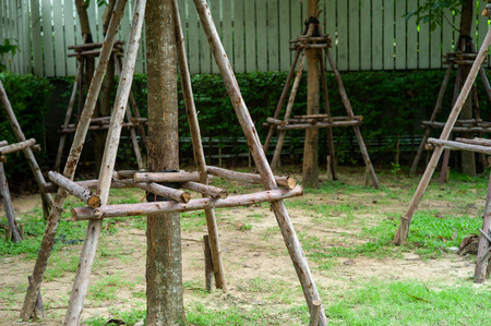 The trees supported by the timbers during the nursery period in the outdoor parkの写真素材