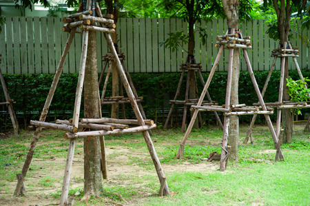 The trees supported by the timbers during the nursery period in the outdoor parkの写真素材