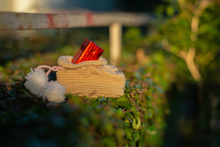 Closeup selective focus of present box in the sock hanging on the bush with blurred trees in background. Christmas and New year festival conceptの写真素材
