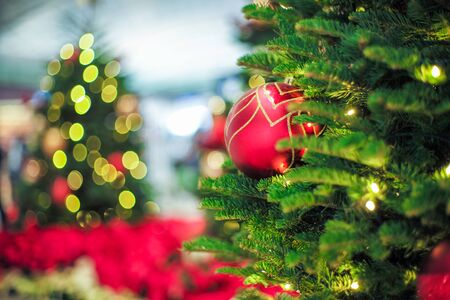 Closeup Christmas tree and branches decorated with red ball and bokeh lights in backgroundの写真素材