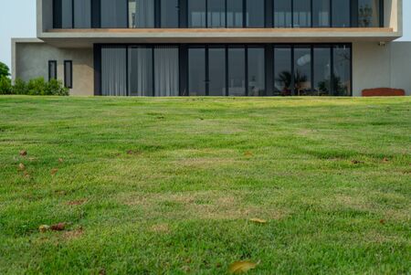 Closeup grass field in foreground with defocused modern architecture style of house in backgroundの写真素材