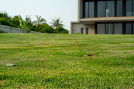 Closeup grass field in foreground with defocused modern architecture style of house in backgroundの写真素材
