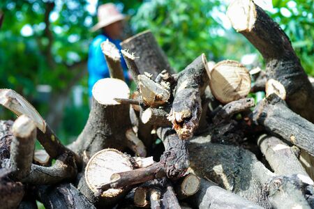 Closeup pile of firewood with blurred worker in backgroundの写真素材