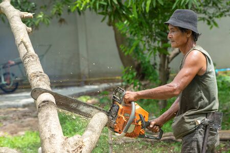 Portrait of arborist cutting the log by chainsaw machine with sawdust splash around. Motion blurred of sawing chainsawの写真素材