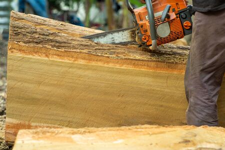 Closeup chainsaw cutting the log by chainsaw machine with sawdust fly around.の写真素材