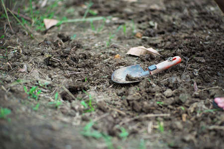 Closeup dirty planting spoon on the soil land with blurred foreground of grassの写真素材