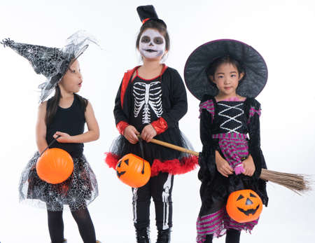 Portrait group of little girls in Halloween and carnival costume isolated on white backgroundの写真素材