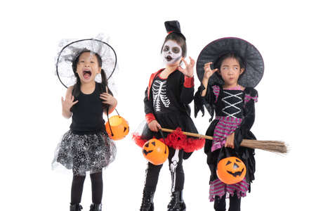Portrait group of little girls in Halloween and carnival costume isolated on white backgroundの写真素材