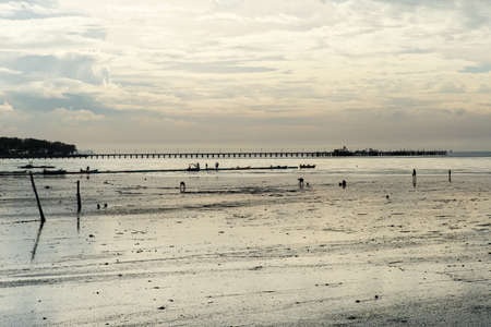 Silhouette group of people harvesting the shell on the beach with silhouette of bridge in background. Lifestyle of Asian peopleの写真素材