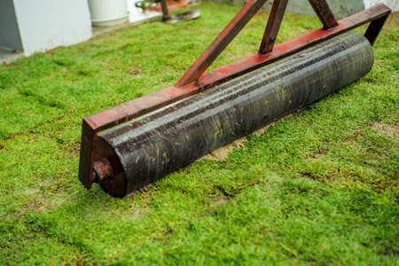 Selective focus on the middle of the heavy steel drum for pressing the lawn field during growing the...