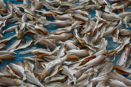 Selective focus on the group of salty fish dried by the heat of sunの写真素材