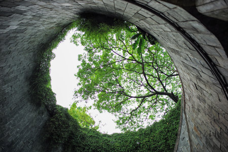 High angle view of round shape structure with branches of trees in backgroundの写真素材