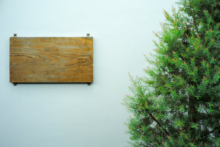 The empty wooden plate for putting some word hanging on the white wall with the tree asideの写真素材