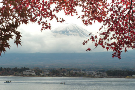 Selective focus on the peak of Mountain Fuji with defocused branches of autumn leaves in foregroundの写真素材