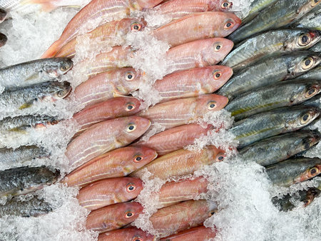 Top view group of raw fresh fish on the tray with ice at the food storeの写真素材