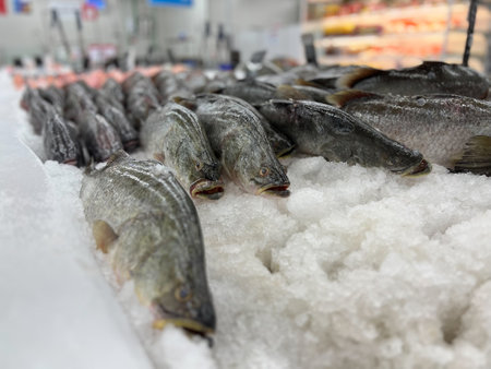 Selective focus on the fresh raw fish on the tray with ice at the food storeの写真素材