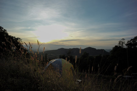 Meadow and field of grass and weed grow on the top of mountain with sky of sunset in backgroundの写真素材