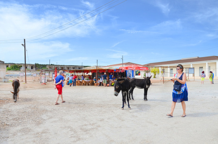 Rizokarpaso, Dipkarpaz, Turkish Northern Cyprus - Oct 3rd 2018: Tourists walking on the street of small rural city. On the street there are also two wild donkeys. The animals are local attraction.のeditorial素材