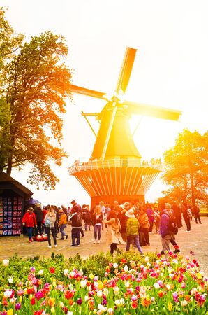 Keukenhof, Netherlands - Colorful tulips with windmill in the background and tourists walking in the gardens. Taken against orange sunlight. Popular Dutch tourist spot. Holland concept.のeditorial素材