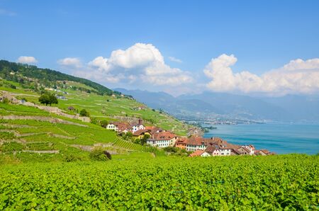 Stunning view of picturesque village Rivaz in Lavaux wine region, Switzerland. Green terraced vineyards on the slopes by turquoise Lake Geneva. Swiss landscape. Beautiful nature.の写真素材
