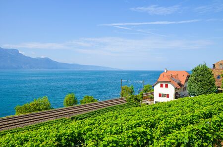 Scenic railway leading on the coast of Lake Geneva in Switzerland. Green vineyard on the adjacent slope. Lavaux wine region. Swiss summer. Railroad, railway tracks.の写真素材