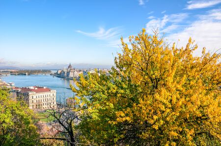 Amazing cityscape of Budapest, Hungary with autumn tree in the foreground. Hungarian Parliament Building, Orszaghaz, in the background on the other side of the Danube river. Beautiful cities.の写真素材