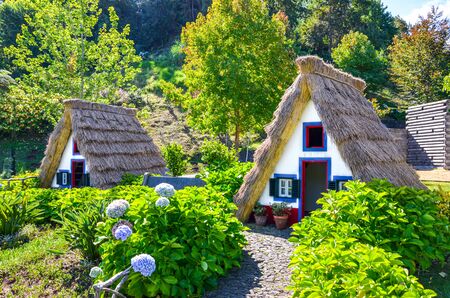 Santana, Madeira, Portugal - Sep 24, 2019: Traditional Madeiran houses with straw roofs in the Madeira Theme Park. Typical old buildings surrounded by green trees and Hydrangea flowers.のeditorial素材