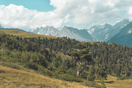 Summer mountain landscape near Mestia, Svaneti region, Georgia, Asia. Snowcapped mountains in the background. Blue sky with clouds above. Georgian travel destinationの写真素材