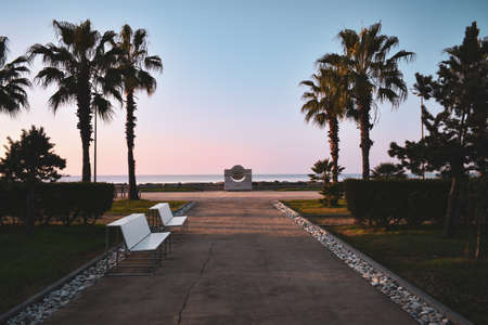 Palm trees at promenade of Batumi, Adjara, Georgia. Path with benches. Silhouettes of palm trees in the sunset light.の写真素材