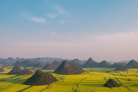 Rapeseed Fields in Luoping, Chinaの写真素材